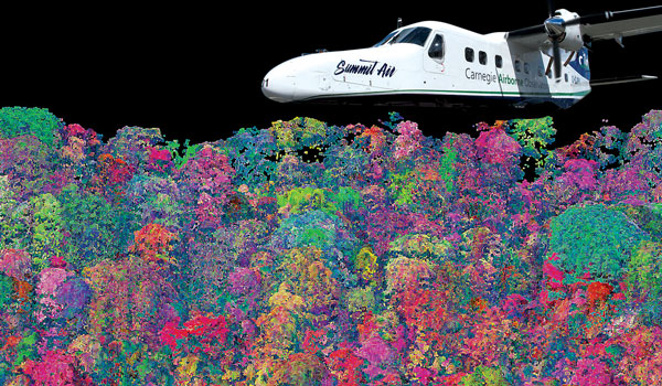 
        Through the integration of multiple technologies, including one designed and built by JPL, the Carnegie Airborne Observatory can create 3D chemical maps of tropical forests and other ecosystems around the world.
    