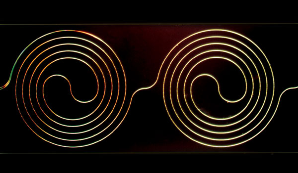 
        A section of a W-band traveling-wave kinetic inductance parametric (TKIP) amplifier. It consists of a 0.15 m length of NbTiN coplanar waveguide (CPW) line arranged in double spirals. The thickness of the line is 35 nm and the center conductor and gap widths are 1 μm.
    