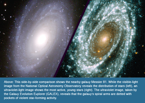 Above: This side-by-side comparison shows the nearby galaxy Messier 81. While the visible-light image from the National Optical Astronomy Observatory reveals the distribution of stars (left), an ultraviolet-light image shows the most active, young stars (right). The ultraviolet image, taken by the Galaxy Evolution Explorer (GALEX), reveals that the galaxy’s spiral arms are dotted with pockets of violent star-forming activity.